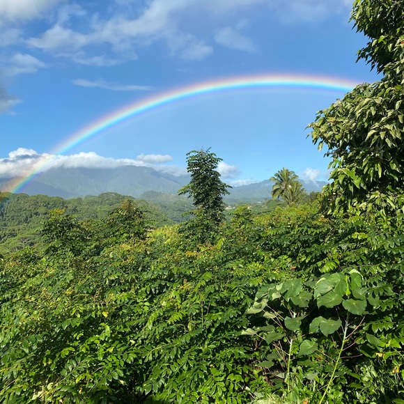 Meet your Posher, Emmy - Picture 6 of 10